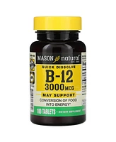 Mason Natural Vitamin B-12 3 000 mcg