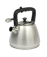 Mr. Coffee Armidale Large 2.5QT Brushed Stainless Steel Whistling Tea Kettle