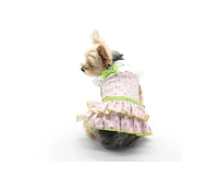 Dogo Pet Ditsy Floral Dress