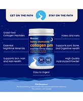 NativePath Collagen Pm - Honey Chamomile Nighttime Collagen Peptides Powder with Magnesium, Gaba, L-Theanine and Melatonin - 20 Servings