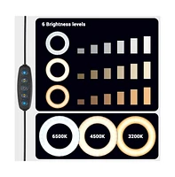 Yescom 7" Dual Led Ring Light Dimmable with Stand Phone Holder for Makeup Selfie Vlog