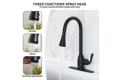 Casainc Classic Pull Down Sprayer Kitchen Faucet with Deck Plate