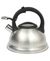 Mr. Coffee Hartbay Large 2.4 Quart Stainless Steel Whistling Tea Kettle