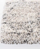 Safavieh Fontana Shag FNT886F 8'x10' Area Rug