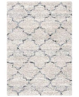 Safavieh Fontana Shag Fnt888f Rug Collection