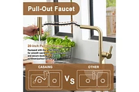 Casainc Single Handle Pull Out Kitchen Faucet