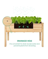 Wooden Raised Vegetable Garden Bed Elevated Grow Vegetable Planter