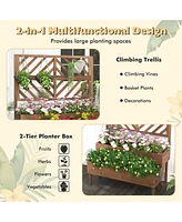 2-Tier Raised Garden Bed with Trellis