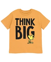 Peanuts Boys Woodstock Snoopy Charlie Brown 3 Pack T-Shirts