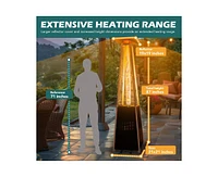 Pamapic 42000 Btu Outdoor Stainless Steel Pyramid Patio Heater with Cover