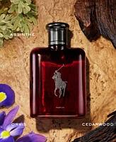Ralph Lauren Men's 2-Pc. Polo Red Parfum Bear Edition Gift Set