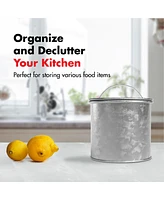 Amici Home Newport Galvanized Metal Canister