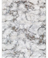 Livabliss Portofino Ptf-2317 8'10"x12' Area Rug