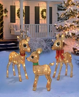 Puleo 18" Lighted Outdoor Wire Frame Deer Set, 3 Piece