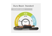 Intex Dura-Beam Standard Series Downy Airbed with Built-In Foot Pump
