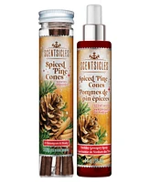 National Tree Company Scentsicles Scented Ornaments, 6 Count Bottles, Stick and Spray Spiced Pine Cones - 2 Pack