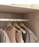 Famapy Glass Doors Armoires with Hanging Rods, Drawers and Shelves