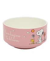 Peanuts Snoopy 6 Pack Stackable 5.5" Decorated Stoneware Bowl Set W/ Plate