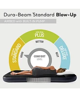 Intex Dura Pillow Rest Classic Blow Up Mattress Air Bed with Pump, Twin (2 Pack)