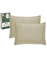 Silky Soft 100% Rayon from Bamboo Pillowcases King Size, Set Of 2 For Smooth Hair & Skin, Fits Pillows by California Design Den