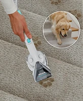 Shark CarpetXpert with Stainstriker pet deep carpet cleaner, built-in spot & stain cleaner