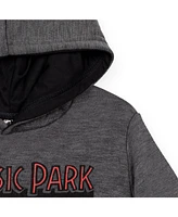 Jurassic Park Toddler Boys Blue Fleece Pullover Hoodie to