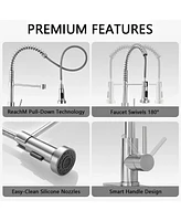 Skonyon Commercial Single Handle Kitchen Sink Faucet with Pull Down Sprayer and Deck Plate, Brushed Nickel Stainless Steel Sink Faucets 1 or 3 Hole