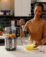 Ge Immersion Blender & Accessory Kit