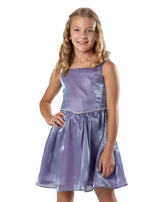 Rare Editions Big Girls Shimmer Organza Party Dress