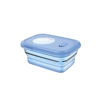 Minimal Silicone Container Collapsible