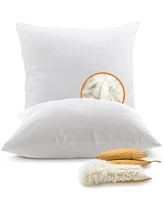 Cheer Collection Natural Kapok 2-Pack Pillow Inserts