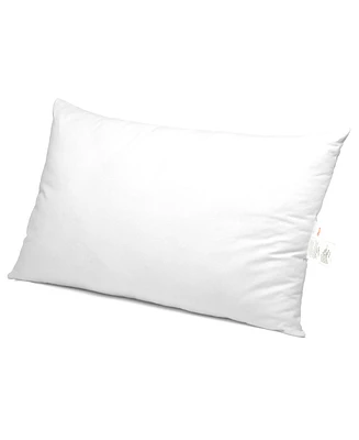 Cheer Collection Soft and Plush Bed Pillow Insert, Standard