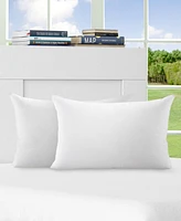 Cheer Collection 2-Pack Pillow Insert