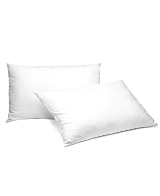 Cheer Collection 2-Pack Pillow Insert