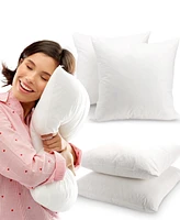 Cheer Collection 95% Feather/5% Down 2-Pack Pillow Inserts