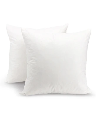 Cheer Collection 95% Feather/5% Down 2-Pack Pillow Inserts
