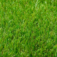 Streamdale Furniture 10' x 3' Artificial Turf Grass with Simulated Look & Feel Uv Protection, & Drain Holes for Rain, 1.25" Height