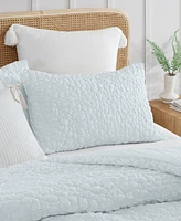 Peri Home Floral Bubble 3-Pc. Comforter Set
