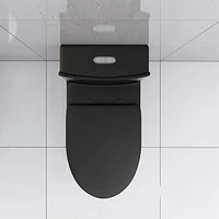 Matte Black Elongated One Piece Toilet Dual Flush 1.1/1.6 Gpf Water Saving Map 1000g, Matte Black