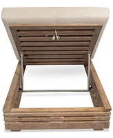 Vivid Outdoor Chaise Lounge Chair