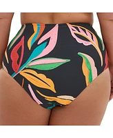 City Chic Plus Maui Print Hi Waist Bikini Brief