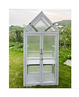 Mini Greenhouse Kit