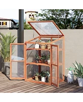 Streamdale Furniture Wooden Cold Frame Small Mini Greenhouse Cabinet for Outdoor and Indoor, 30" L x 24" W x 44" H, Natural