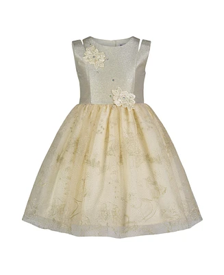 Blueberi Boulevard Toddler and Little Girls Fit-and-Flare Gold Tulle Floral Applique Dress