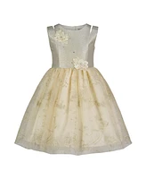 Blueberi Boulevard Toddler and Little Girls Fit-and-Flare Gold Tulle Floral Applique Dress