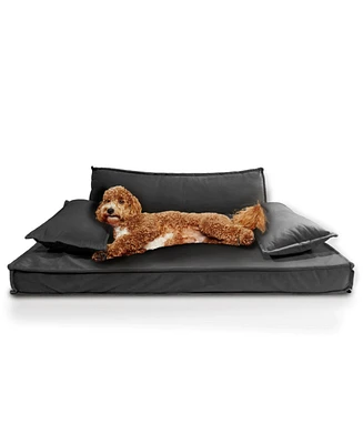 Precious Tails Orthopedic Pet Bed, Stylish Beds for Cats and Dogs