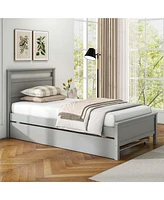 Twin Platform Bed with Trundle Pull-out Headboard & Footboard