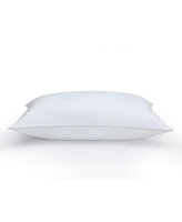 Claritin Ultimate Allergen Barrier Medium Density Pillow