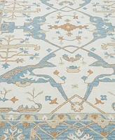 Exquisite Rugs Claremont Oushak 5'x8' Area Rug