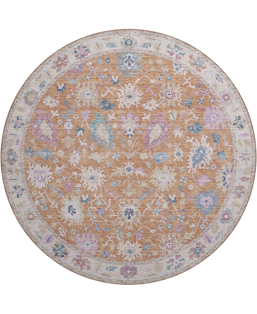 Dalyn Hatay Washable HY7 8'x8' Round Area Rug